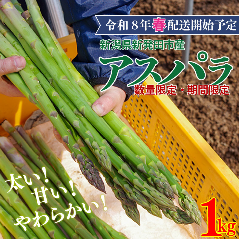 R8年産先行予約 アスパラガス 1kg （ 約 40本 ） グリーンアスパラガス 野菜 旬 旬の野菜 期間限定 数量限定 【 新潟県 新発田 産 のぞみふぁーむ アスパラガス 農福連携 先行予約 1kg 甘い 太い 柔らかい 特産品 nozofarm001_01 】