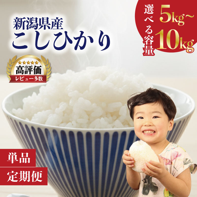高評価★4.7 令和7年産 新潟県 コシヒカリ 単品 / 定期便 5kg 10kg 15kg 30kg 3回 3ヶ月 1等米 米 こめ 白米 ご飯 おにぎり こしひかり 新発田産 新発田市 新潟 野口政一商店 noguchi003P