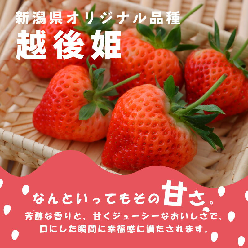 【ふるさと納税】 【先行予約】 いちご 越後姫 3L～2L 選べる パック数 12粒～30粒 朝採り 当日発送 苺 イチゴ えちごひめ 朝どれ 朝摘み 生産者直送 農家 直送 数量限定 季節限定 期間限定 須貝いちご園 新潟 新発田 sugai001P サムネイル2