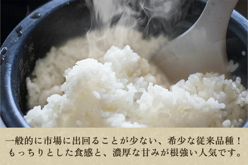 【ふるさと納税】【令和7年産新米先行予約】老舗米穀店が厳選 新潟産 従来品種コシヒカリ「七谷米」精白米 or 無洗米2kg 選べる配送回数（通常配送1回〜定期便12回）〈10月上旬から順次出荷〉 窒素ガス充填パックで鮮度長持ち 金子米店 サムネイル3