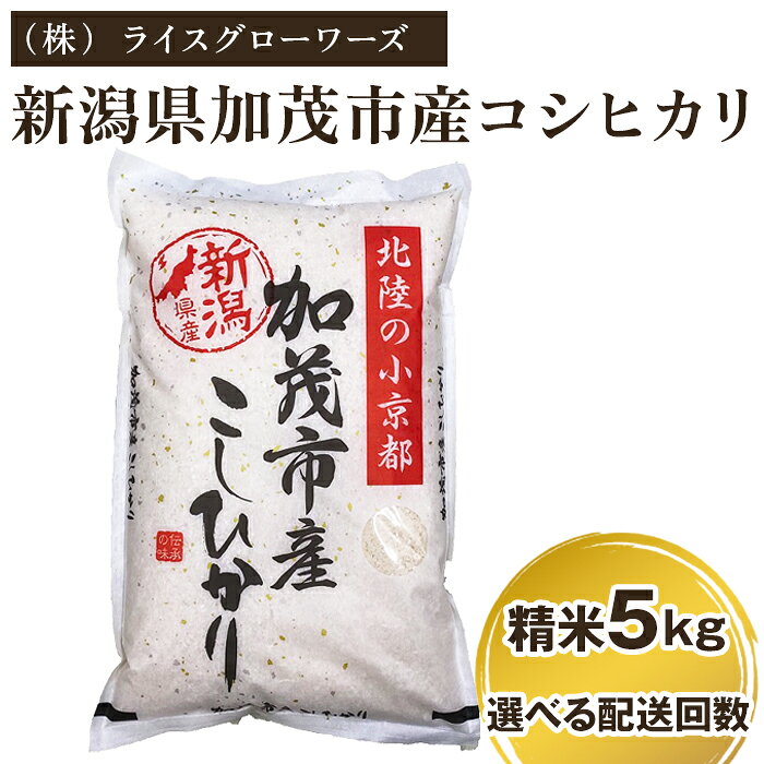 【令和7年産】新潟県加茂市産コシヒカリ 精米5kg 選べる配送回数（通常配送1回〜定期便12回）《順次出荷》 白米 （株）ライスグローワーズ