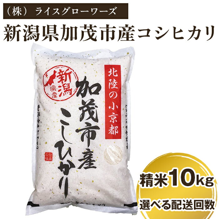 【令和7年産】新潟県加茂市産コシヒカリ 精米10kg（5kg×2）選べる配送回数（通常配送1回〜定期便12回）《順次出荷》 白米 （株）ライスグローワーズ
