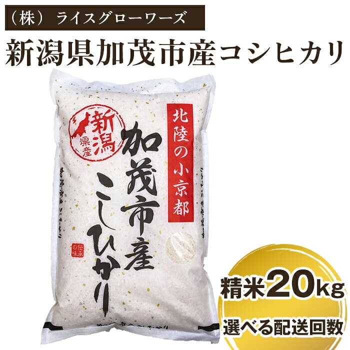 【令和7年産】新潟県加茂市産コシヒカリ 精米20kg（5kg×4）選べる配送回数（通常配送1回〜定期便12回）《順次出荷》 白米（株）ライスグローワーズ