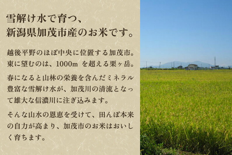 【ふるさと納税】【令和7年産新米先行予約】新潟県加茂市産コシヒカリ 精米3kg 選べる配送回数（通常配送1回〜定期便12回）《10月中旬から順次出荷》 白米 加茂有機米生産組合 サムネイル3