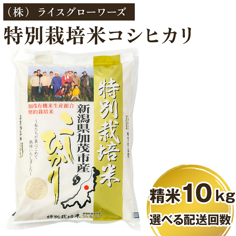 【令和7年産】 新潟県加茂市産 特別栽培米コシヒカリ 精米10kg（5kg×2）選べる配送回数（通常配送1回〜定期便12回） 《順次出荷》 白米 従来品種コシヒカリ （株）ライスグローワーズ
