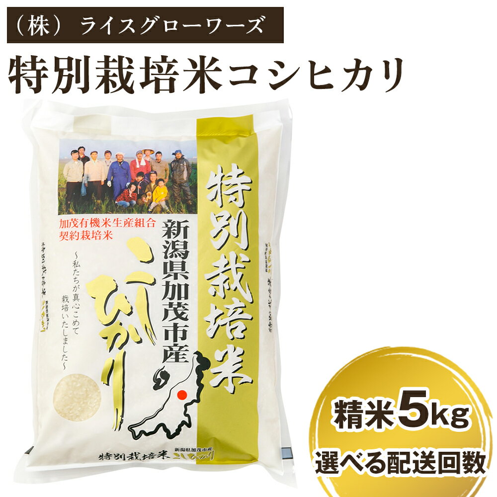 【令和7年産】 新潟県加茂市産 特別栽培米コシヒカリ 精米5kg 選べる配送回数（通常配送1回〜定期便12回） 《順次出荷》 白米 従来品種コシヒカリ （株）ライスグローワーズ
