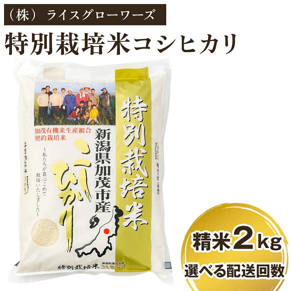 【令和7年産】 新潟県加茂市産 特別栽培米コシヒカリ 精米2kg 選べる配送回数（通常配送1回〜定期便12回） 《順次出荷》 白米 従来品種コシヒカリ （株）ライスグローワーズ