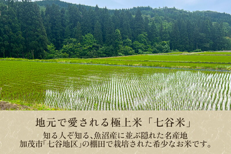 【ふるさと納税】【令和7年産新米先行予約】 新潟県加茂市 七谷産 棚田米コシヒカリ 精米2kg 選べる配送回数（通常配送1回〜定期便12回） 《10月中旬から順次出荷》 白米 加茂有機米生産組合 サムネイル3