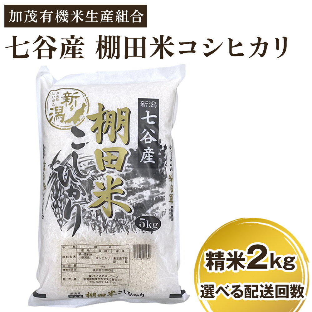 【令和7年産新米先行予約】 新潟県加茂市 七谷産 棚田米コシヒカリ 精米2kg 選べる配送回数（通常配送1回〜定期便12回） 《10月中旬から順次出荷》 白米 加茂有機米生産組合