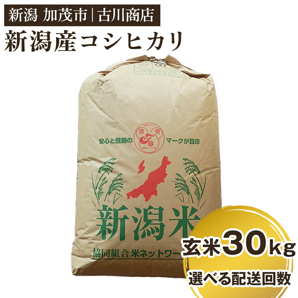 【令和7年産】 新潟県加茂市産コシヒカリ 玄米30kg【選べる配送回数（通常配送1回〜定期便12回）】《順次発送》 一等米 お米の専門店 古川商店
