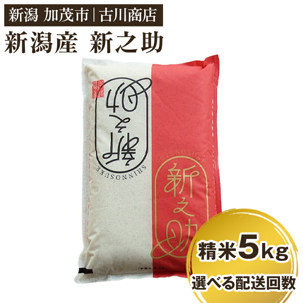 【令和7年産】新潟の新ブランド米「新之助」精米5kg 【選べる配送回数（通常配送1回〜定期便12回）】《順次発送》 白米 大粒 加茂市 お米の専門店 古川商店