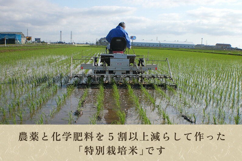 【ふるさと納税】【令和7年産】新潟産ミルキークイーン「ミルキー米」特別栽培米 精米5kg 白米真空パック 加茂市 織原農園 - 画像3