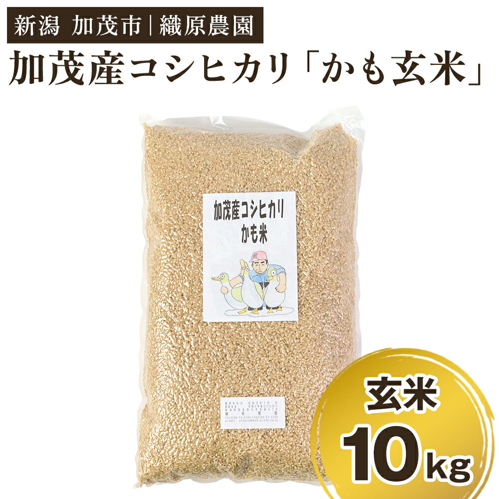 【令和7年産】新潟産コシヒカリ「かも米」玄米10kg（5kg×2袋） 《順次出荷》 真空パック 【無農薬・無化学肥料】 従来品種コシヒカリ 加茂市 織原農園