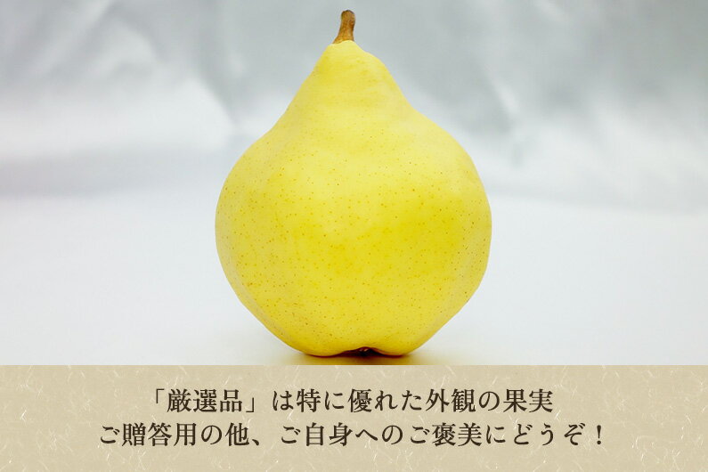 【ふるさと納税】【2026年先行予約】 たかはし果樹園 謹製 新潟特産 幻の洋梨ル・レクチェ 厳選品 「約1kg」or「約2kg」or「約3kg」or「約4kg」 《11月下旬～順次配送》 果物 フルーツギフト 冬の味覚 産地直送加茂市 たかはし果樹園 - 画像3