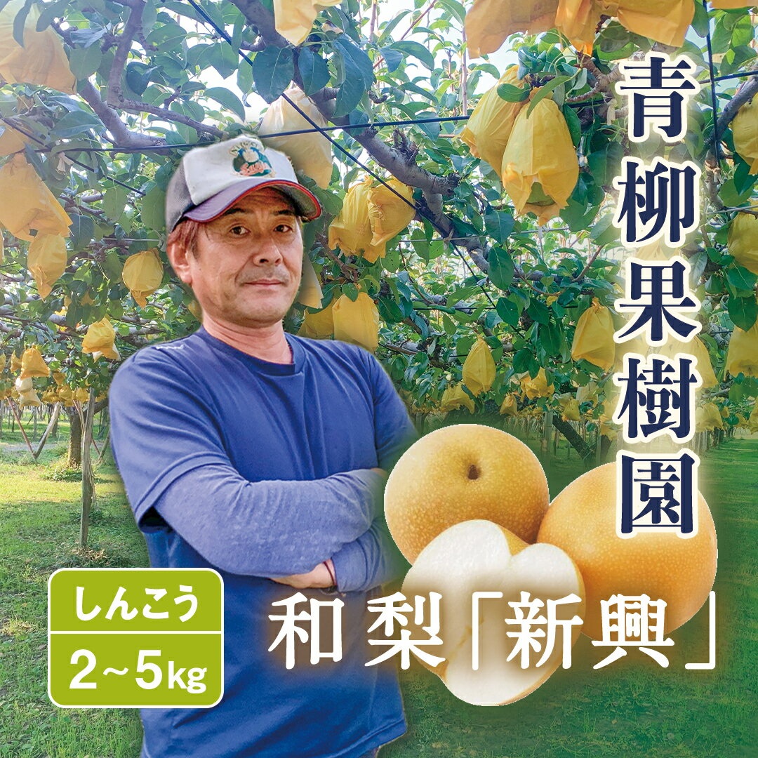 【2026年先行予約】和梨 新興 選べる「2kg」or「3kg」or「5kg」[青柳果樹園]《11月上旬〜順次出荷》[0462]