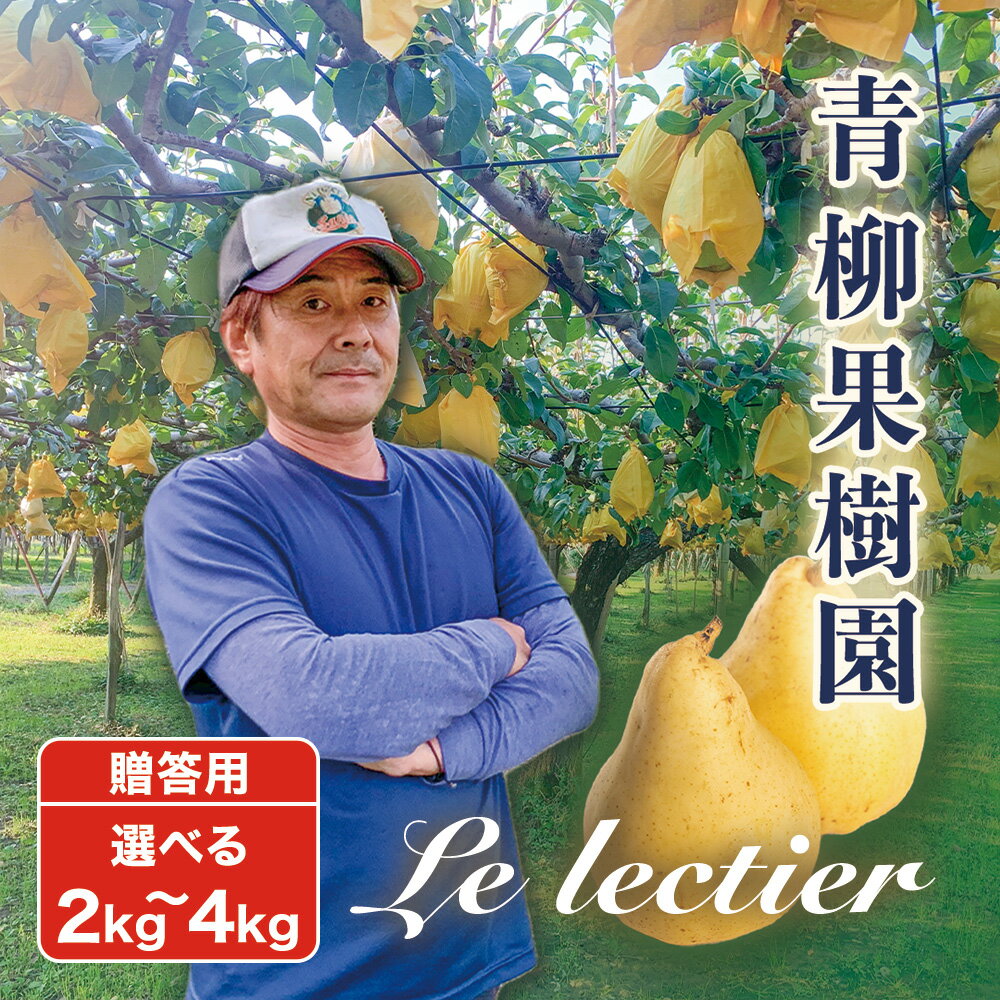 【2025年先行予約】新潟特産 幻の洋梨ル・レクチェ 贈答用 「2kg」or「3kg」or「4kg」〈11月下旬～順次出荷〉 ルレクチェ ル・レクチエ ルレクチエ 果物 フルーツギフト 冬の味覚 産地直送加茂市 青柳果樹園