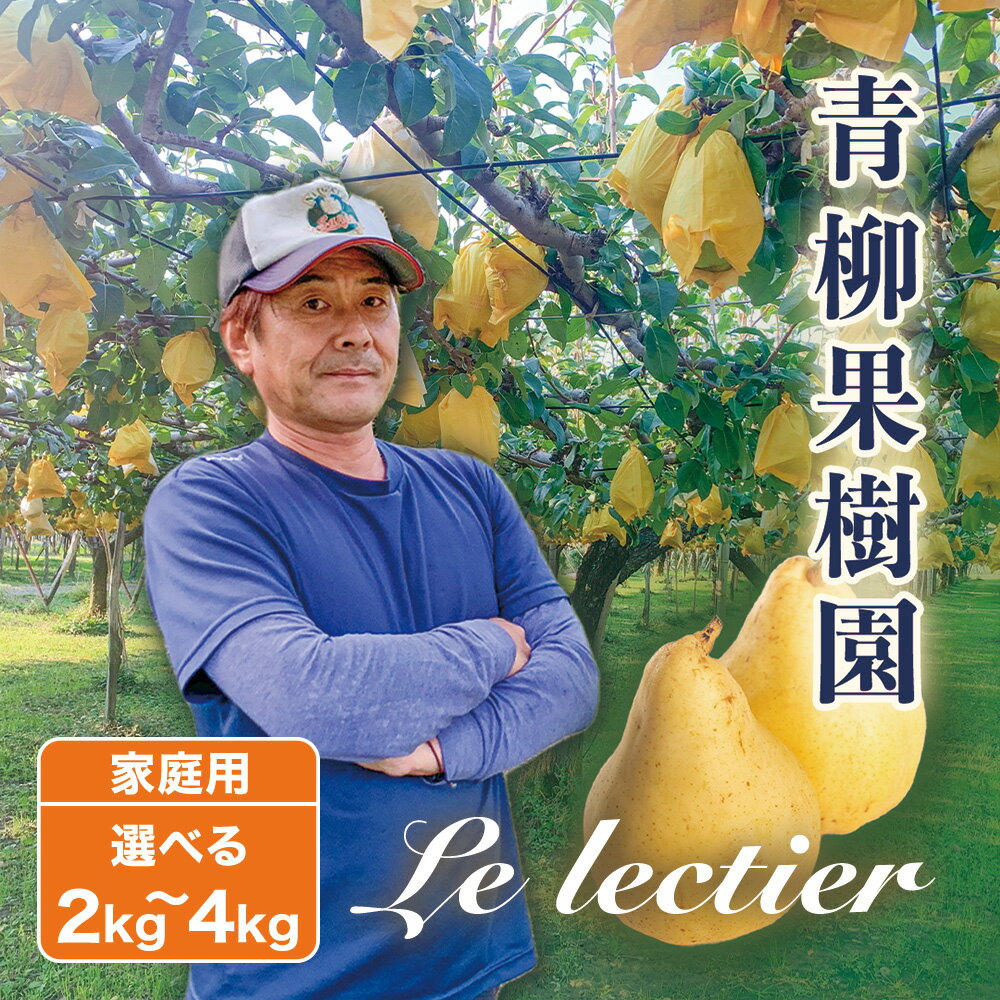 【2026年先行予約】新潟特産 幻の洋梨ル・レクチェ 家庭用 「2kg」or「3kg」or「4kg」〈11月下旬〜順次出荷〉 ルレクチェ ル・レクチエ ルレクチエ 果物 フルーツ 冬の味覚 産地直送加茂市 青柳果樹園