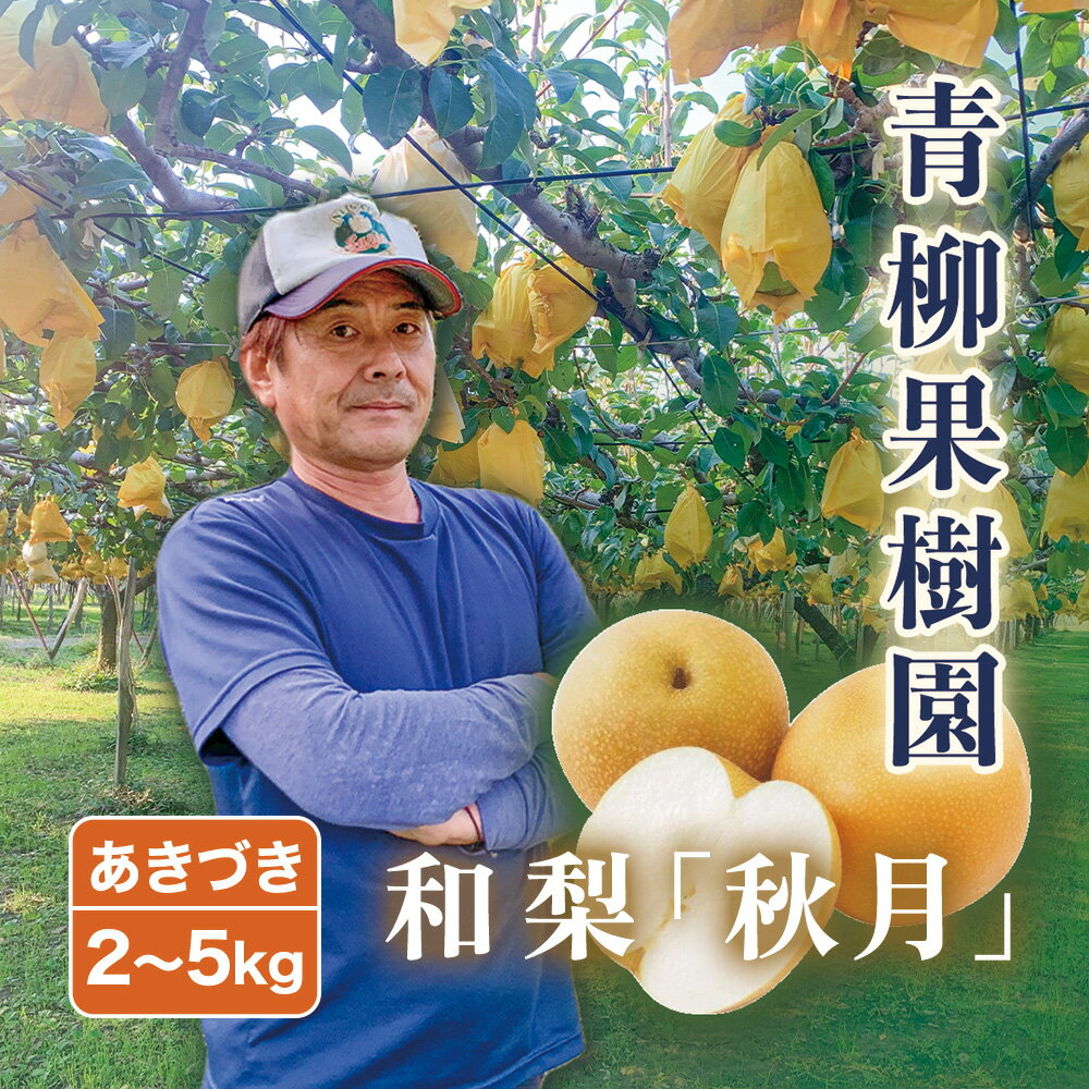 【2026年先行予約】青柳果樹園の和梨 あきづき 選べる「2kg」or「3kg」or「5kg」《9月中旬～順次出荷》 果物 秋月 フルーツギフト 加茂市 青柳果樹園