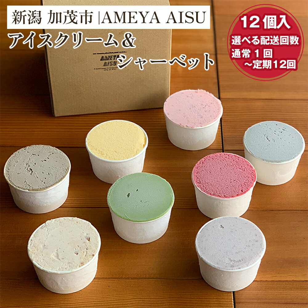 アイスクリーム&シャーベット ギフトセット 12個入 【選べる配送回数 通常配送1回〜定期便12回】詰め合わせ アイス 氷菓 アイスクリーム ジェラート 北海道産あずき アソート バラエティ 青木飴屋 AMEYA AISU アメヤアイス 加茂市