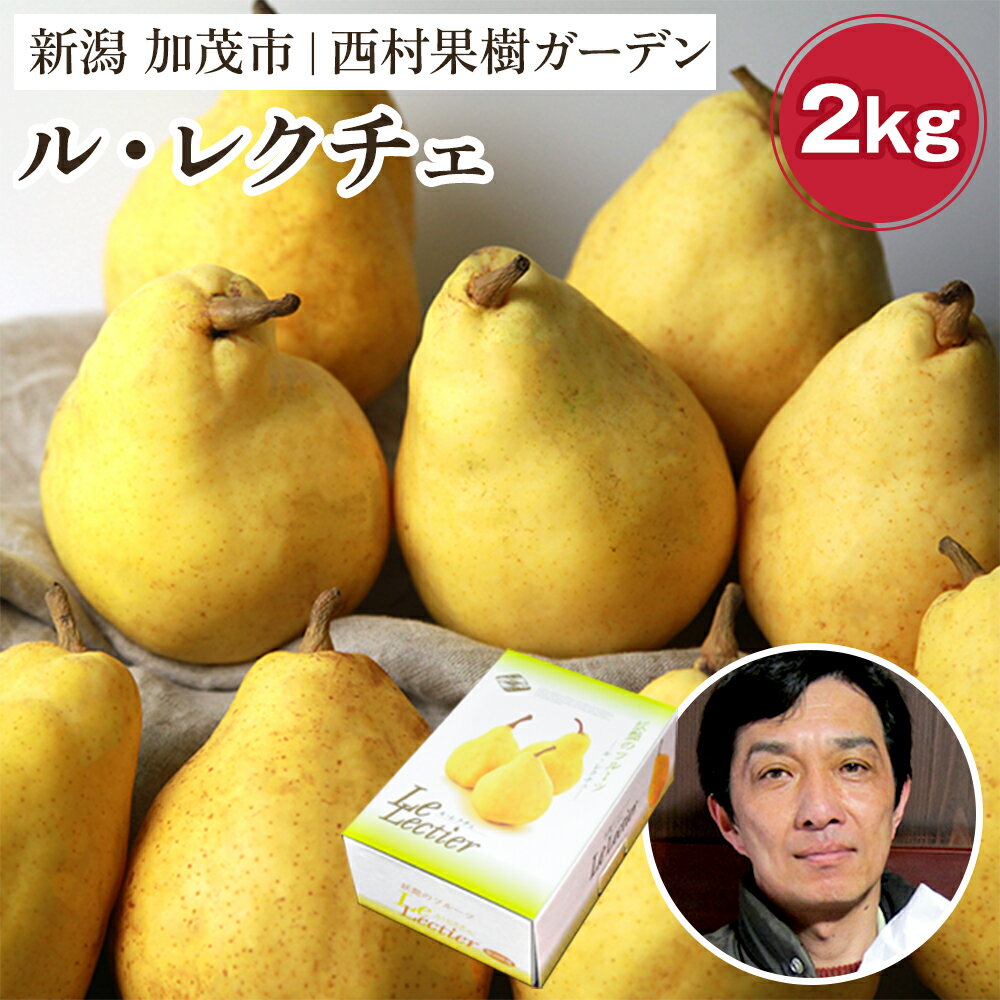 【2025年先行予約】西村の黒酢ミネラル栽培「ル・レクチェ」2kg （3〜7玉）《11月下旬〜順次発送》 幻の西洋梨 梨 果実 フルーツ 冬の味覚 加茂市 西村果樹ガーデン