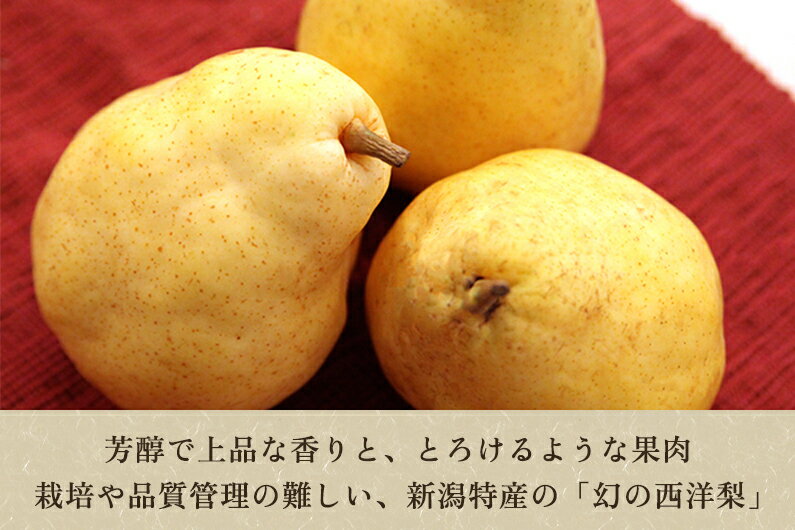 【ふるさと納税】【2025年先行予約】西村の黒酢ミネラル栽培「ル・レクチェ」2kg （3〜7玉）《11月下旬〜順次発送》 幻の西洋梨 梨 果実 フルーツ 冬の味覚 加茂市 西村果樹ガーデン サムネイル2