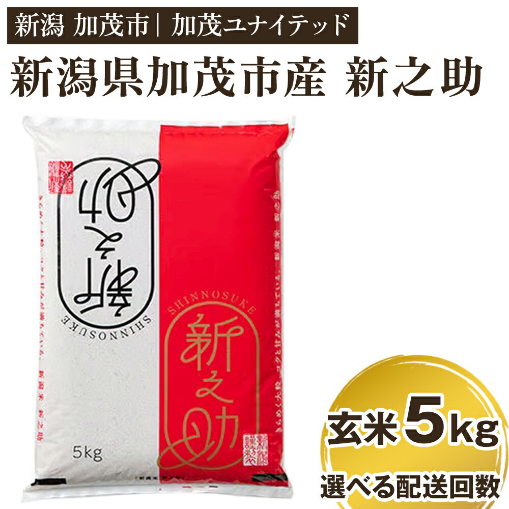 【令和7年産】 新潟県産 新之助 玄米5kg 【選べる配送回数（通常配送1回〜定期便12回】《順次発送》 新潟 ブランド米 加茂市 加茂ユナイテッド