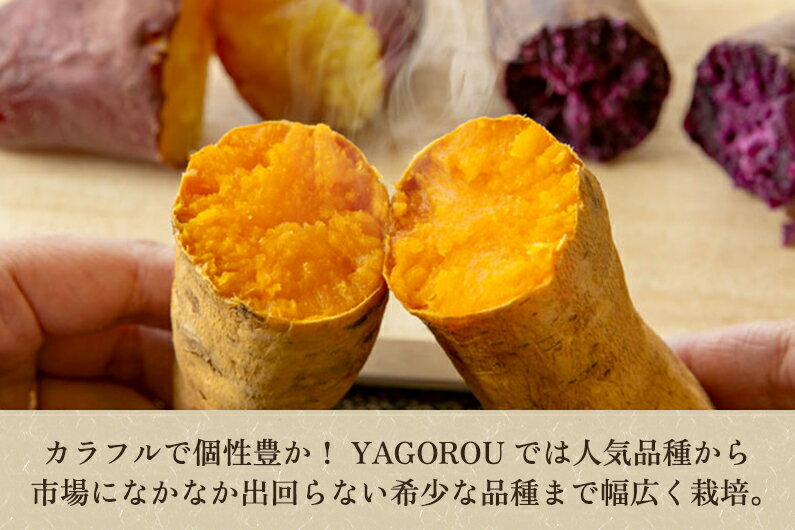 【ふるさと納税】【家庭用】さつまいも6種食べ比べ 3kg（A品・B品混在） 新潟県加茂市七谷産 さつまいも《順次発送》 サツマイモ お芋 焼き芋 スイートポテト 野菜 根菜 低温熟成 - 画像2