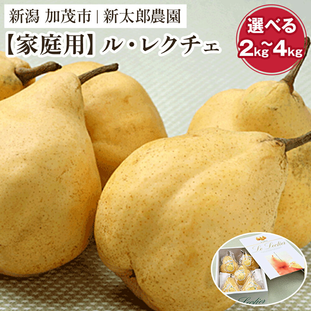 【2025年先行予約】【家庭用】幻の洋梨 ル・レクチェ 選べる「2kg」or「3kg」or「4kg」《11月下旬から順次発送》 果物 フルーツ ギフト 贈答 加茂市産 ル・レクチェ 梨 西洋梨 加茂市 新太郎農園
