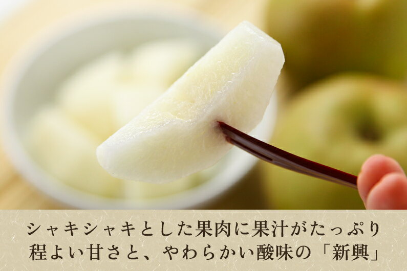 【ふるさと納税】【2025年先行予約】【贈答用】新潟県産和梨 新興 約5kg（6〜14玉） 《10月中旬から順次発送》梨 なし ナシ 新興 しんこう 果物 果樹 フルーツ 樹上完熟 加茂果樹専門家集団 加茂市 想樹 サムネイル2