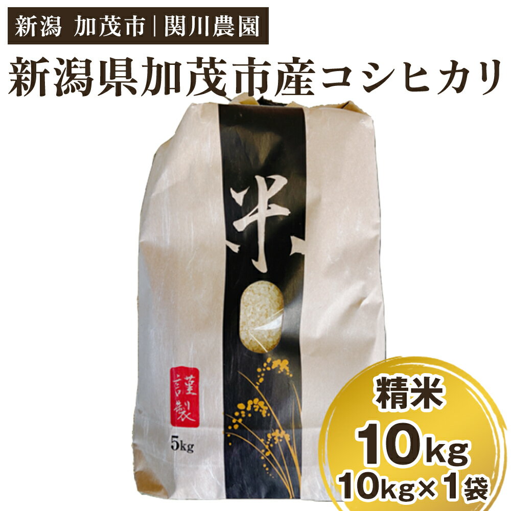 【令和8年産新米先行予約】加茂市産コシヒカリ 精米10kg（10kg×1袋）《9月下旬～順次出荷》 こしひかり 新潟産 米 お米 白米 加茂市 関川農園