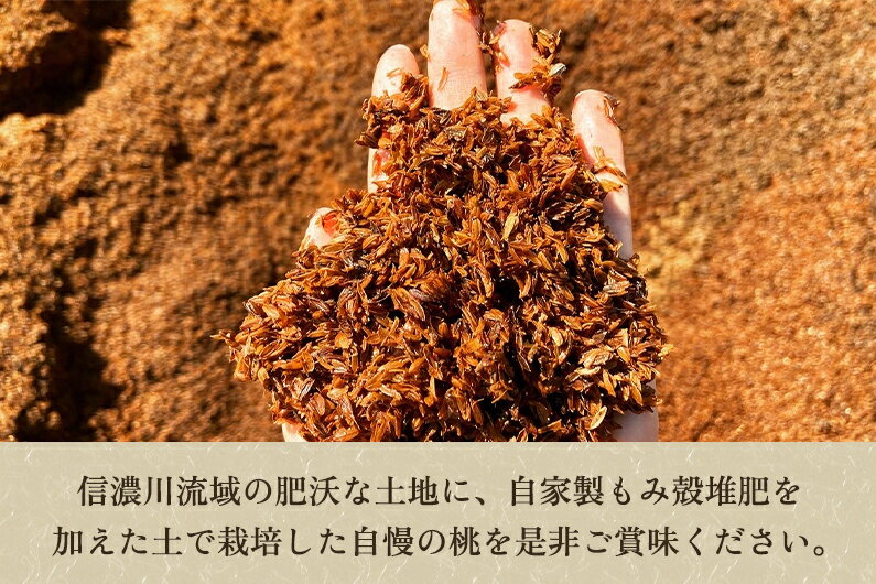 【ふるさと納税】【2026年先行予約】新潟県産 桃 約2kg（5～8玉）《7月下旬～順次発送》 もも ピーチ 果物 フルーツギフト 夏の味覚 加茂市 関川農園 サムネイル3