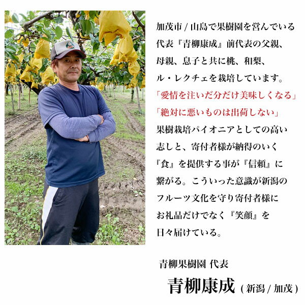 【ふるさと納税】【2026年先行予約】和梨 新興 選べる「2kg」or「3kg」or「5kg」[青柳果樹園]《11月上旬〜順次出荷》[0462] - 画像2