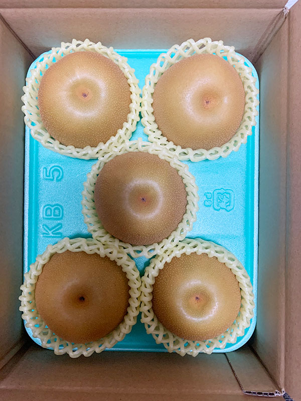 【ふるさと納税】【2026年先行予約】和梨 新興 選べる「2kg」or「3kg」or「5kg」[青柳果樹園]《11月上旬〜順次出荷》[0462] - 画像3