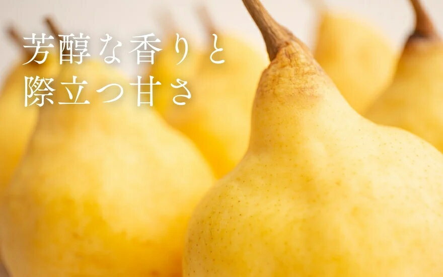 【ふるさと納税】【2025年先行予約】新潟特産 幻の洋梨ル・レクチェ 家庭用 「約2kg」or「約3kg」or「約4kg」 《11月下旬以降、順次発送》 令和5年新潟県ル・レクチェ果実品評会「県知事賞」 ル レクチェ 果物 フルーツ 新潟県産 特産 産地直送 加茂市 いたみ果樹園 サムネイル2