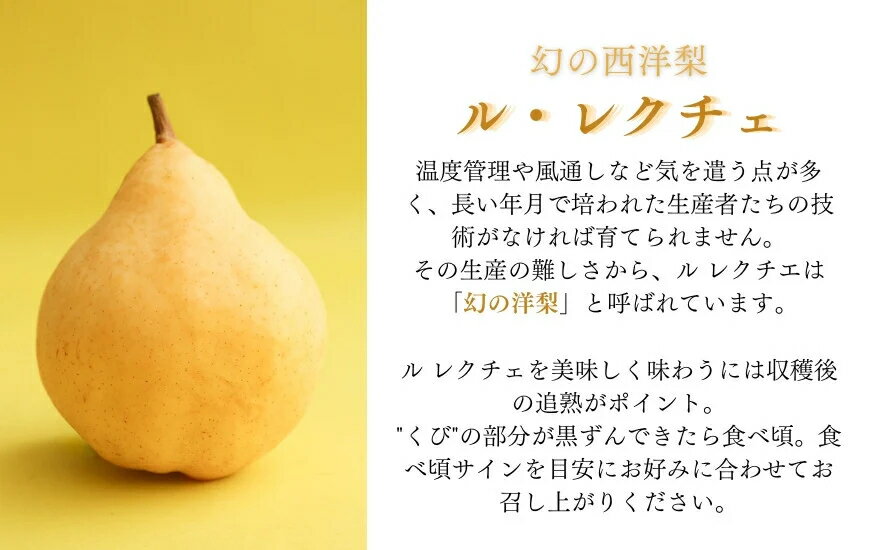 【ふるさと納税】【2025年先行予約】新潟特産 幻の洋梨ル・レクチェ 家庭用 「約2kg」or「約3kg」or「約4kg」 《11月下旬以降、順次発送》 令和5年新潟県ル・レクチェ果実品評会「県知事賞」 ル レクチェ 果物 フルーツ 新潟県産 特産 産地直送 加茂市 いたみ果樹園 サムネイル3
