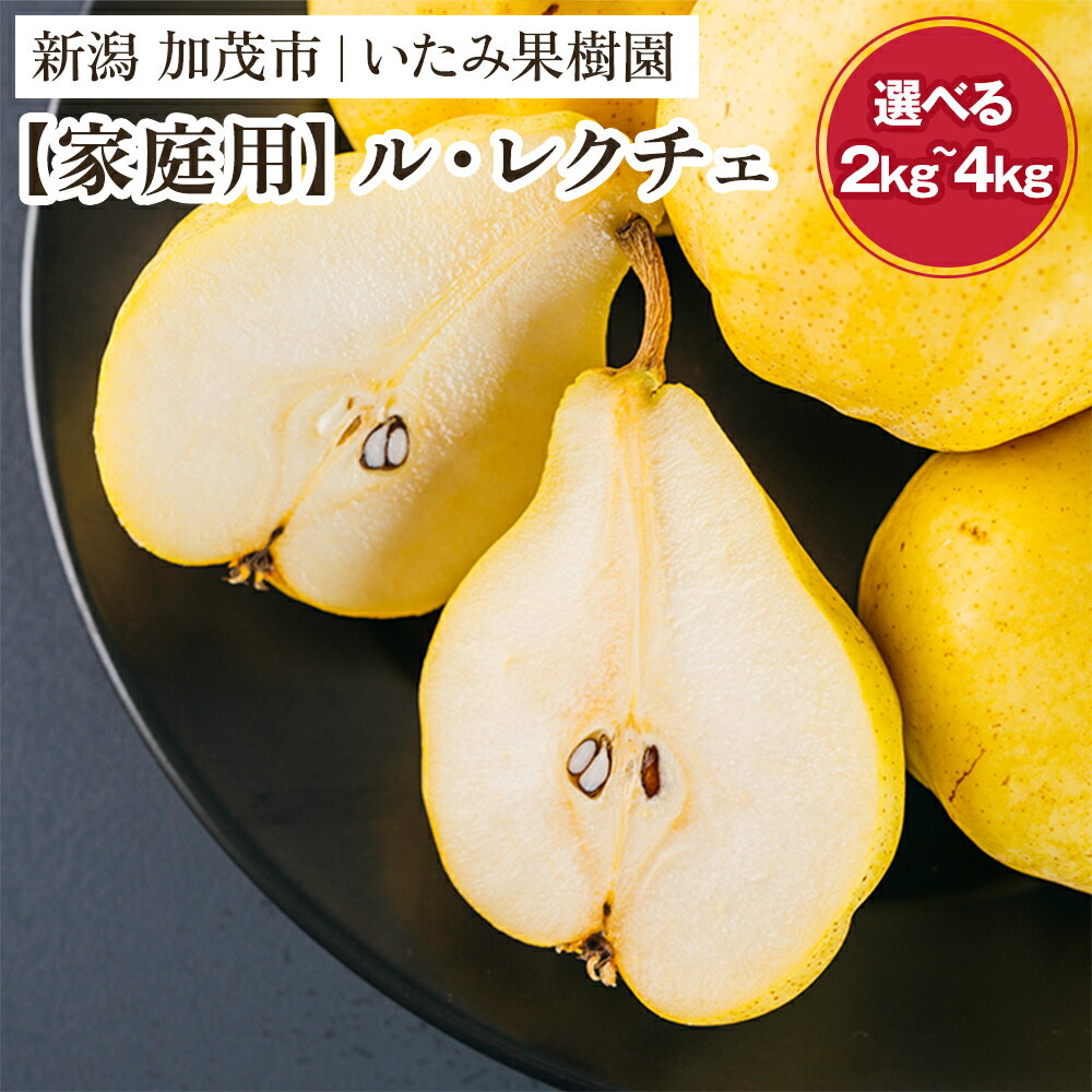 【2025年先行予約】新潟特産 幻の洋梨ル・レクチェ 家庭用 「約2kg」or「約3kg」or「約4kg」 《11月下旬以降、順次発送》 令和5年新潟県ル・レクチェ果実品評会「県知事賞」 ル レクチェ 果物 フルーツ 新潟県産 特産 産地直送 加茂市 いたみ果樹園