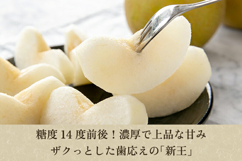 【ふるさと納税】【2026年先行予約】「天果糖逸（てんかとういつ）」 新潟県産和梨 新王 約5kg（8〜10玉）《9月下旬〜配送予定》 しんおう 果物 フルーツ 冬の味覚 産地直送 加茂市 えちご中越農業協同組合 - 画像2