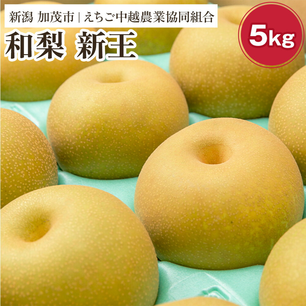 【2026年先行予約】「天果糖逸（てんかとういつ）」 新潟県産和梨 新王 約5kg（8〜10玉）《9月下旬〜配送予定》 しんおう 果物 フルーツ 冬の味覚 産地直送 加茂市 えちご中越農業協同組合