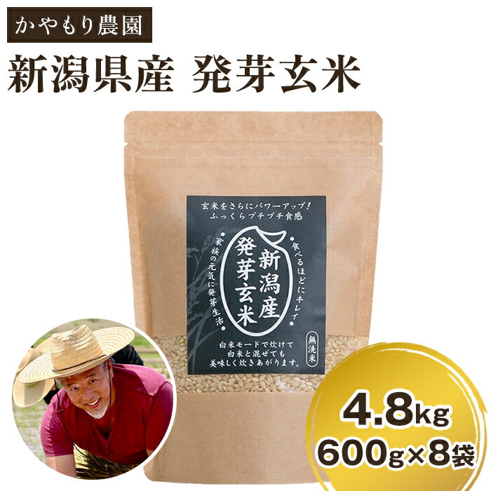 【令和7年産】 [発芽玄米] 新潟産 発芽玄米4.8kg（600g×8個）《9月下旬〜順次出荷》 新潟米 新潟県産 かやもり農園