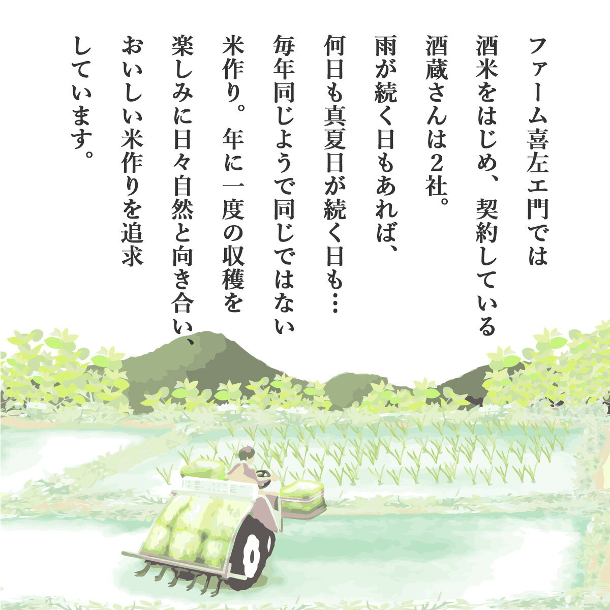 【ふるさと納税】 米 こめ ★R7年産★ 幻のお米従来コシヒカリ 玄米 30kg 20kg 10kg 5kg こしひかり 新潟県 見附市 銘柄米 甘い 美味しい 人気 令和7年産 新潟産 送料無料 ご飯 おこめ 見附市ふるさと納税 ファーム喜左ヱ門 - 画像3