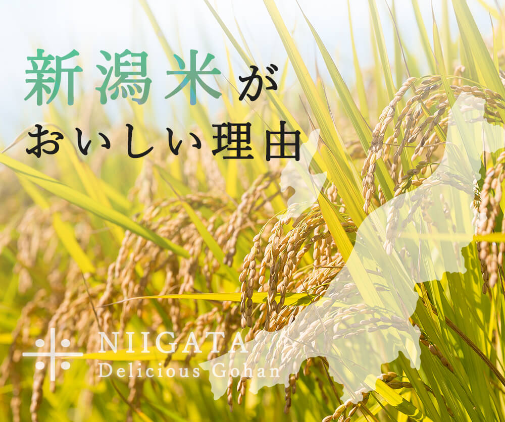【ふるさと納税】米 令和7年 1kg 2kg 5kg 10kg(5kg×2) ＼4～7営業日以内に配送／ コメ お米 コシヒカリ こしひかり 令和7年産 2025年産 送料無料 送料 精米 白米 新潟 株式会社田中米穀 見附 見附市 - 画像3