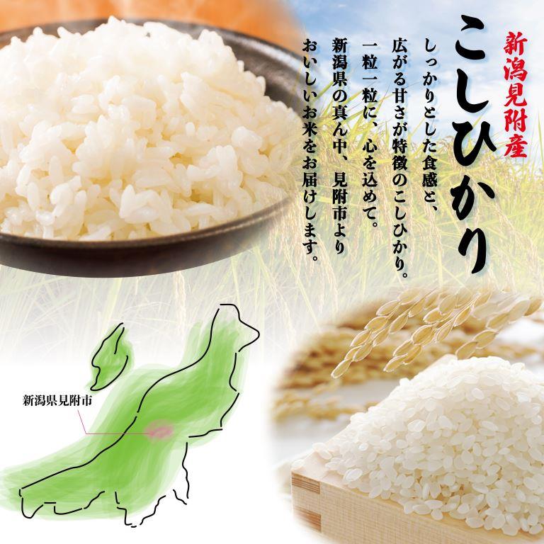 【ふるさと納税】米 令和7年 1kg 2kg 5kg 10kg(5kg×2) ＼4～7営業日以内に配送／ コメ お米 コシヒカリ こしひかり 令和7年産 2025年産 送料無料 送料 精米 白米 新潟 株式会社田中米穀 見附 見附市 - 画像2