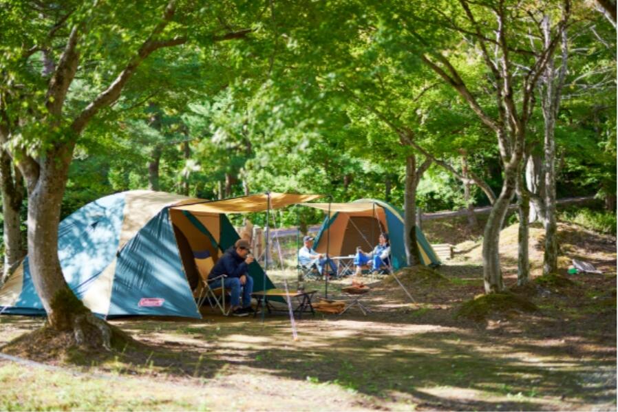 【ふるさと納税】キャンプ場・園内アクティビティに使えるチケット3,000円分 笹原建設 - 画像2