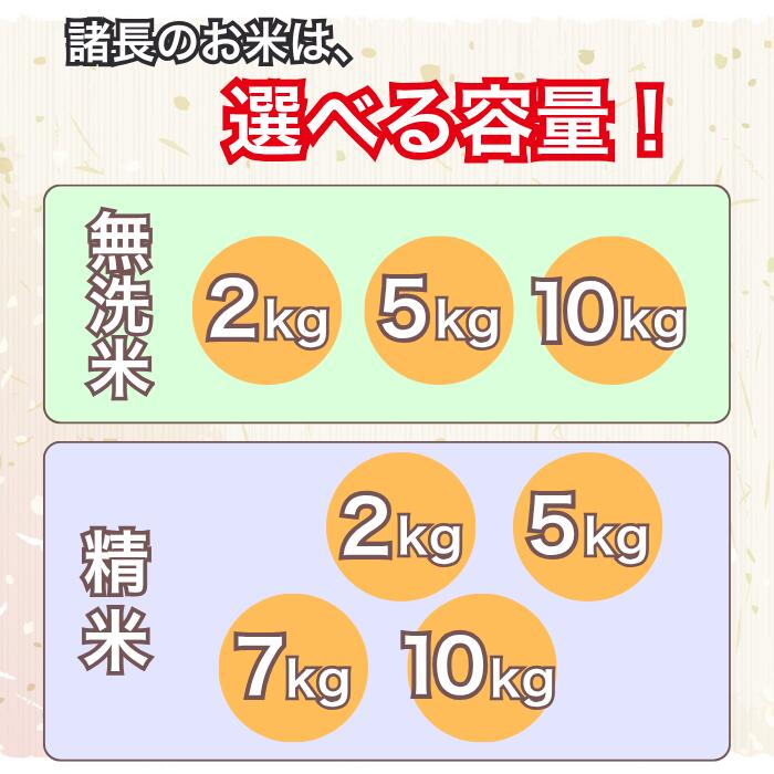 【ふるさと納税】最短当日配送 米 令和7年産 無洗米 精米 定期便 10kg 7kg 5kg 2kg 白米 お米 こめ コシヒカリ こしひかり 新潟 選べる おすすめ 人気 コメ 高評価 最強配送 送料無料 見附 諸長 10000円 15000円 定期 3か月 - 画像3