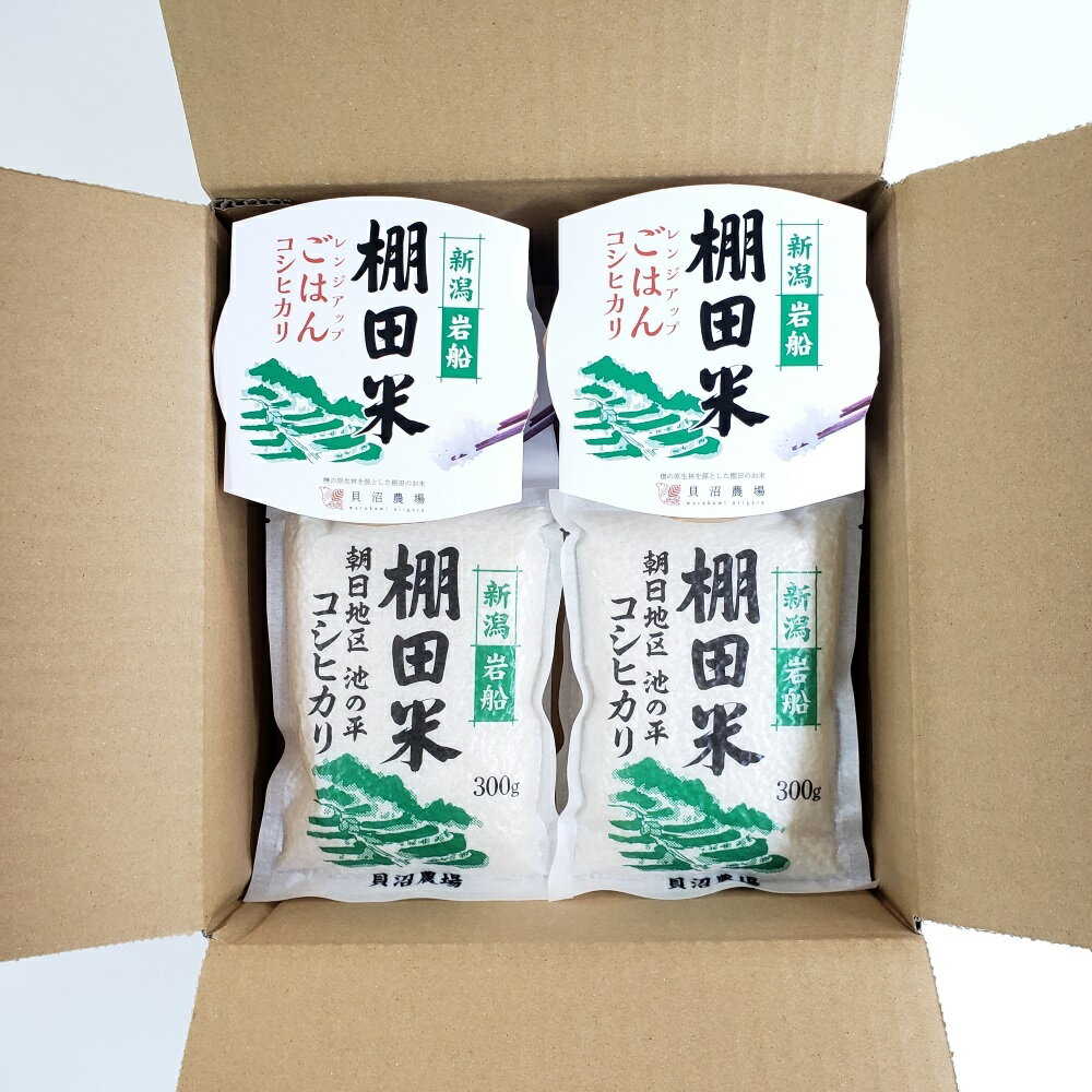 【ふるさと納税】【令和7年産米】 棚田米コシヒカリ 白米1.2kg（300g×4袋）+ 棚田米コシヒカリのパックごはん(150g×4個)セット 新潟県岩船産　お米 白米 こしひかり 精米 村上市 1067082 - 画像3