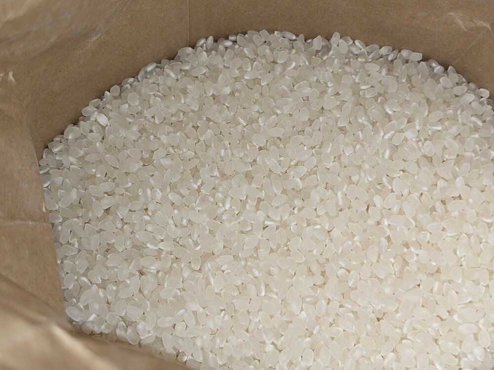 【ふるさと納税】【令和7年産米】【数量限定】新潟県村上市岩船産こしひかり 辰次郎のお米 精米 5kg×1袋　米 お米 白米 ご飯 ごはん コシヒカリ 新潟産 村上産 お取り寄せ 新潟県 村上市 送料無料 農家直送 1072001 - 画像2