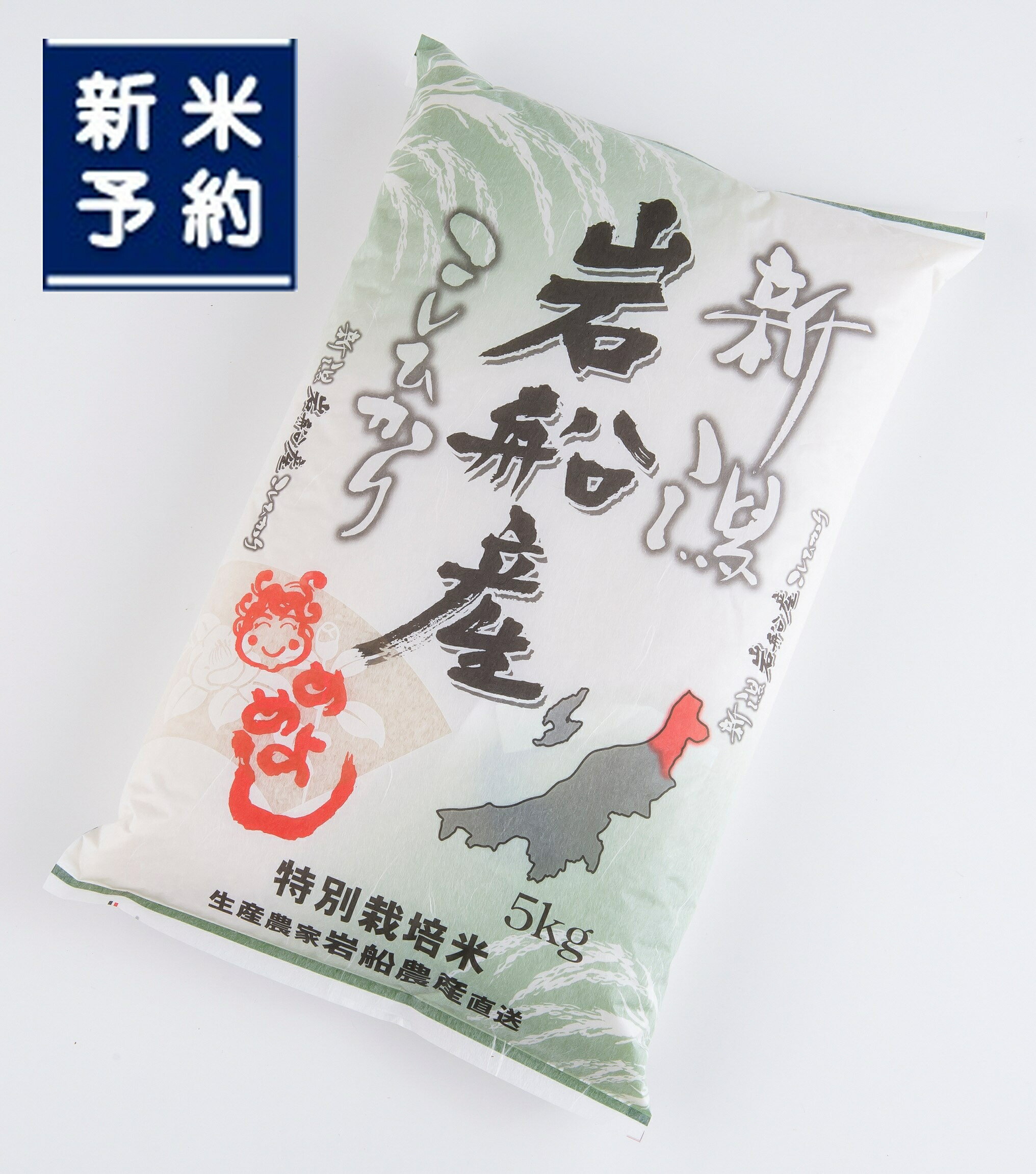 【新米受付・令和8年産米】特別栽培米 新潟県村上市岩船産 コシヒカリ5kg　お米 精米 白米 ごはん ご飯 新潟県産 新潟産 お取り寄せ 新潟県 村上市 送料無料 1013005N