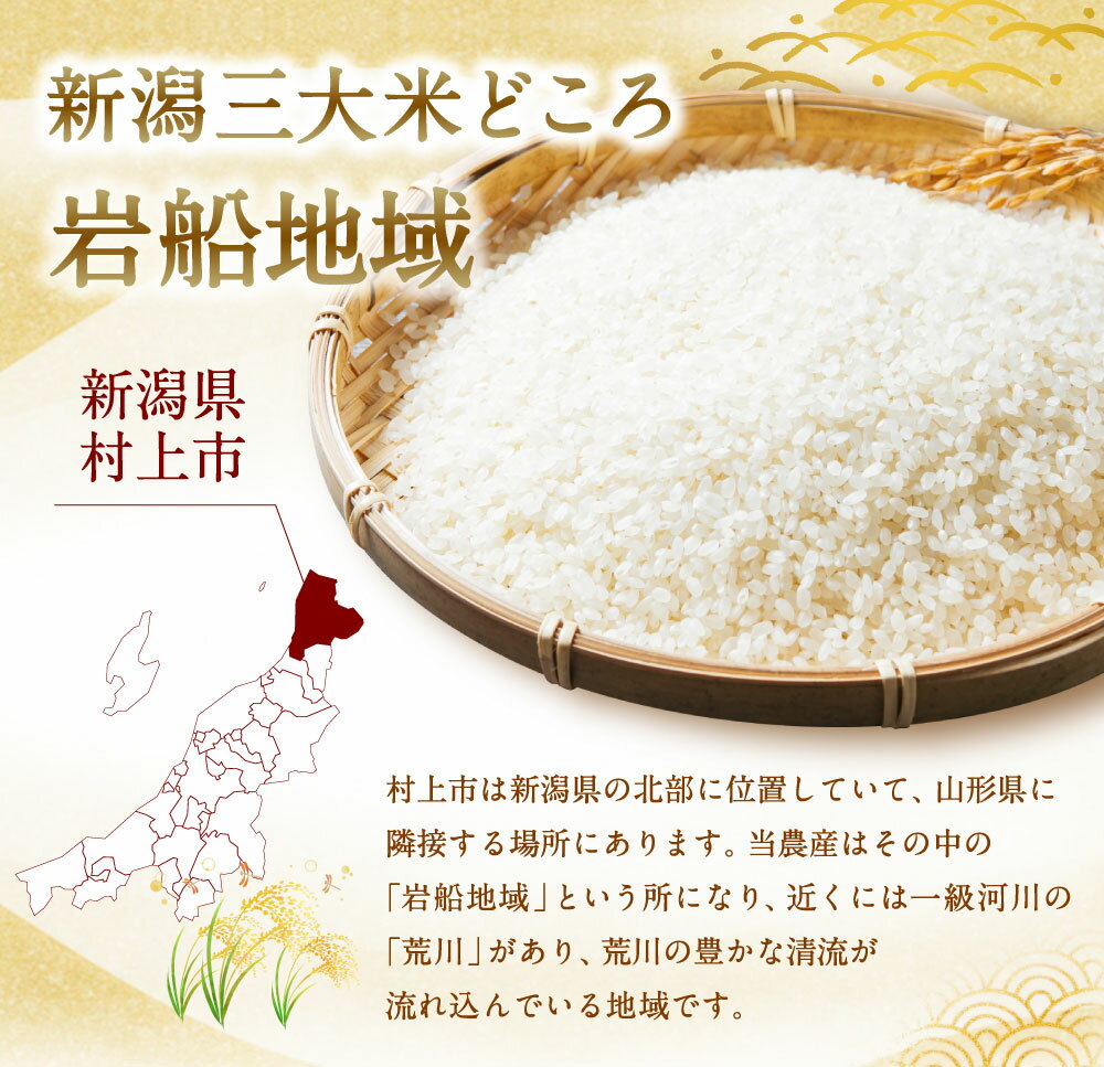 【ふるさと納税】【新米受付・令和8年産米】新潟県村上市岩船産 新之助 5kg お米 精米 白米 ご飯 ごはん しんのすけ 村上市 1013002N - 画像3