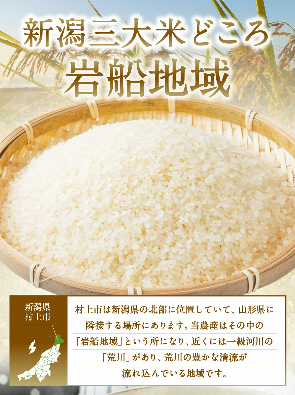 【ふるさと納税】【令和7年産米】特別栽培米 新潟県村上市岩船産コシヒカリ5kg　お米 精米 白米 ごはん ご飯 新潟県産 新潟産 お取り寄せ 新潟県 村上市 送料無料 1013005 - 画像3