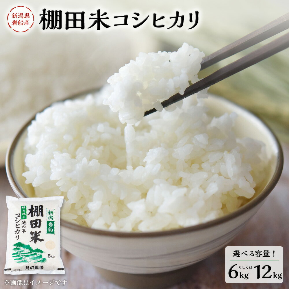 【令和7年産米】【選べる容量】 新潟県村上市岩船産 棚田米 コシヒカリ 6kg もしくは 12kg お米 精米 白米 ご飯 ごはん 村上市 A4184 B4107